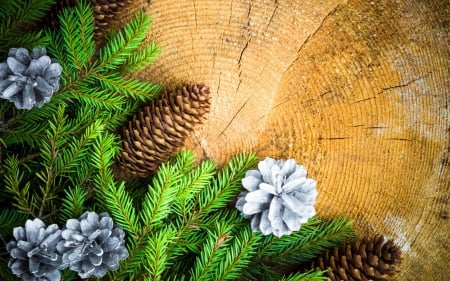 Happy Holidays! - wood, deco, fir, christmas, cone pine, craciun, green, card, texture