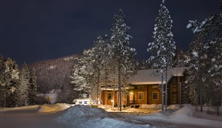 Lovely Winter - winter, night, trees, snow