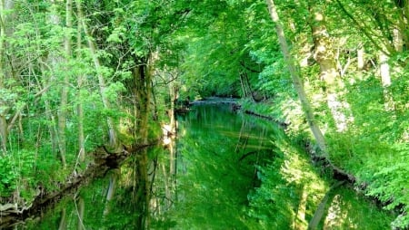 Green River - summer, forest, river, trees, nature