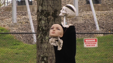 Skeleton face - Kings Island 2014, background, cool, Halloween Haunt