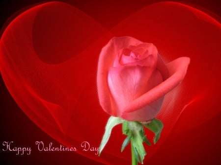 Valentines Rose - love, red, heart, romance, valentine, rose, happy