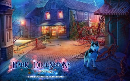 Dark Dimensions 5 - Homecoming01 - fun, puzzle, hidden object, cool, video games