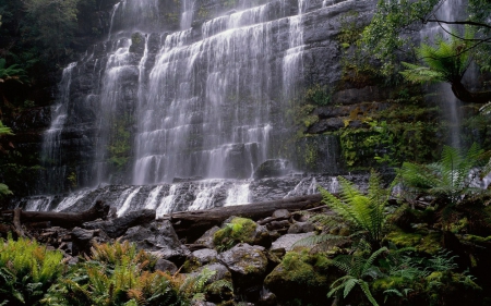 russel falls - rock, waterfall, ferns, cliff