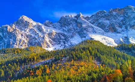 Mountain Forest At Sunrise - forest, mountains, fall, germany, alps, beautiful, trees, sunrise, snow