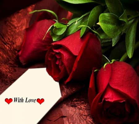 roses - love, valentines, rose, red