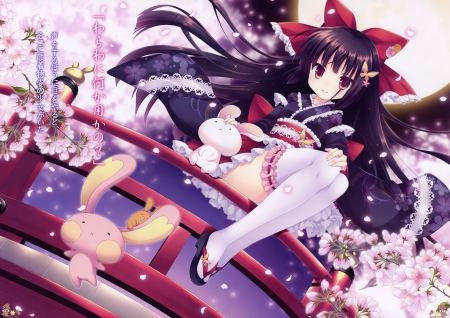 Spring - hot, japanese, anime girl, spring, rabbit, cherry blossom, petals, sakura blossom, kimono, oriental, sexy, adorable, floral, sakura, pink, yukata, sweet, dress, nice, beauty, beautifulbunny, female, pretty, japan, anime, cute, bridge, girl, longhair, cherry, lovely, cg, hd, kawaii, blossom, flower