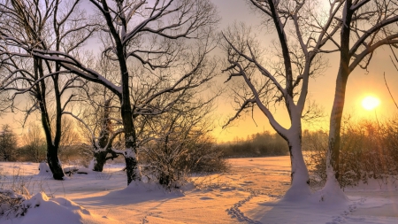 Winter sun - sunlight, snow, landscape, scene, sunshine, HD, sunrise, forest, light, sunset, nature, sun, shine, wallpaper