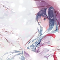 Snow Sakura