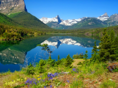 Glacier NP - national park, rocks, landscape, beautiful, flowers, wildflowers, hills, glacier, grass, lake, sky, reflection, view, lovely