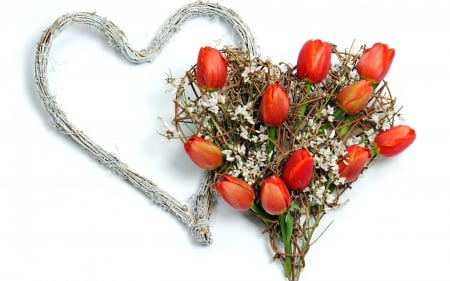 Happy Valentine's Day! - white, red, flower, tulips, valentine, heart, bouquet, spring