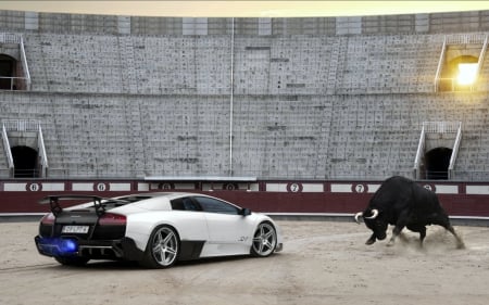 Lamborghini vs El Toro! - Lamborghini & Cars Background Wallpapers on  Desktop Nexus (Image 1935713)