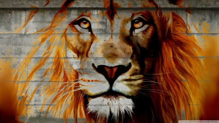 lion - lion, feline, cat, wall