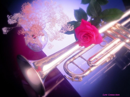 love connection - love, connection, rose, trumpet