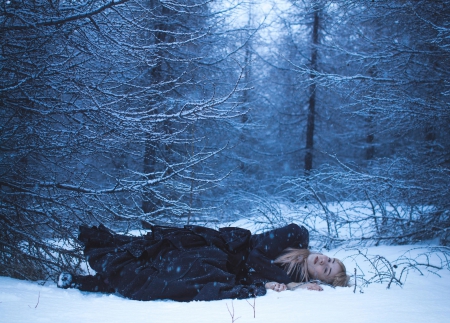 Snow Beauty - trees, winter, girl, snow, black dress, night, forest