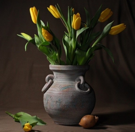 Still Life - flowers, yellow, still life, tulips