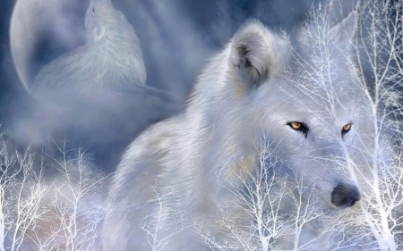 winter wolf - wolf, dog, winter, tree, canine