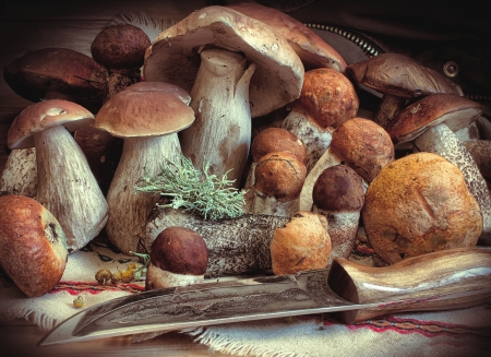 * Autumn harvest * - fall, nature, autumn, harvest, mashroom