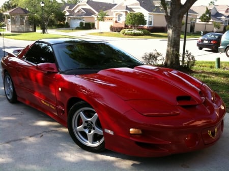 Trans am - firebird, pontiac, gm, trans am