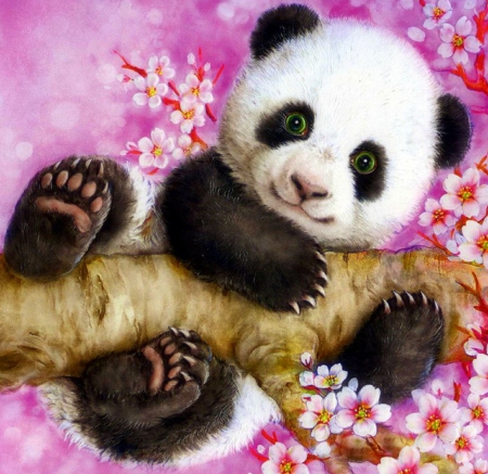 Panda in Spring