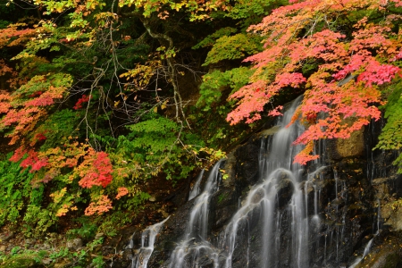 Waterfall - nature, forest, trees, waterfall