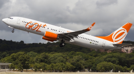 Boeing-737 - 737, sky, boeing, trees