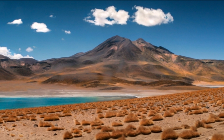 Salt Lakes of the Atacama Desert, Chile - lakes, nature, desert, chile