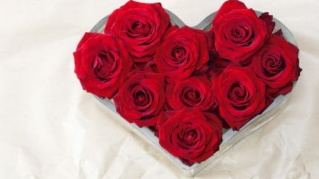 * Red roses * - flowers, roses, heart, nature, flower