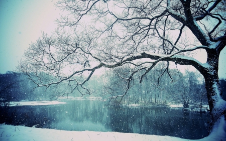 Winter Magic - winter, nature, magic, scenery, amazing, snow, lake, tree