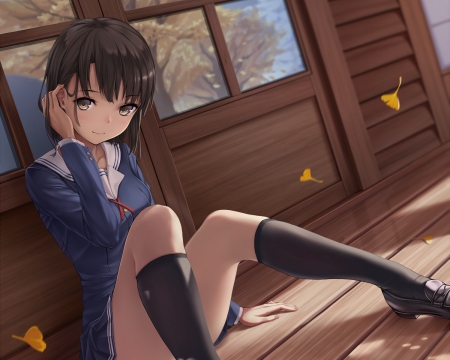 Kato Megumi - nice, beauty, sitting, autumn, female, hot, anime girl, black hair, home, pretty, anime, house, scene, sit, sexy, girl, light, long hair, lovely, cg, school uniform, shade, hd, beautiful, leaves, sweet, uniform, shadow