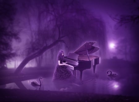 SWAN SONG - PIANO, BIRDS, SWANS, PURPLE, MUSIC, FEMALE, NIGHT