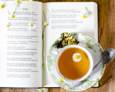 Still Life - tea, still life, book, cup