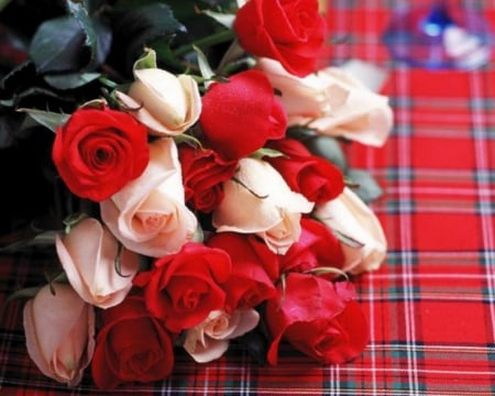 Roses - cloth, flowers, roses, petals