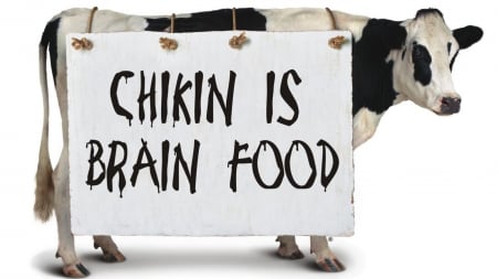 Chikin is brain food - 1600x900, funny, cool, chick fil a