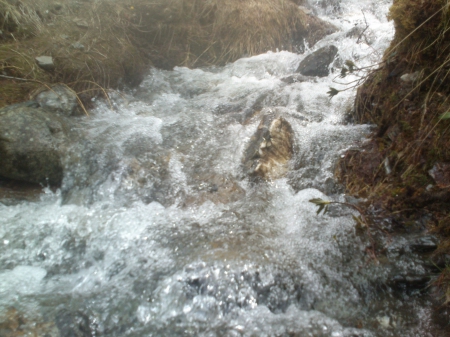 rivers good in italian alps...