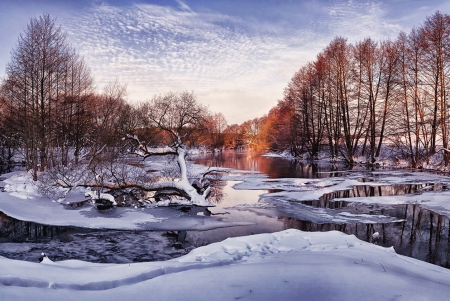 Lovely Winter - winter, trees, snow, river