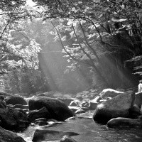 Smoky Mountains