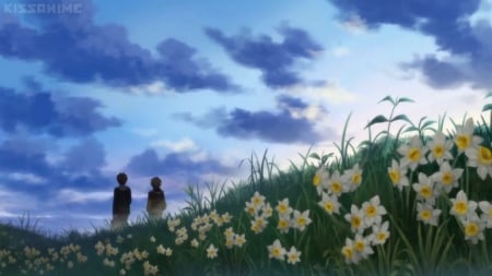 Way Back - pretty, anime, walking, blossom, evening, scene, guy, grass, walk, tempest, boy, dawn, male, zetsuen no tempest, filed, nice, sky, beautiful, beauty, lovely, sweet, flower, petals, floral