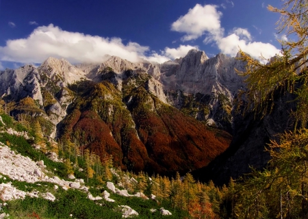 autumn - color, larch, mountain, autumn