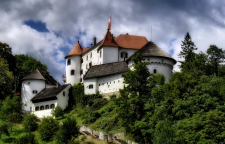 castle - nature, slovenia, old, castle