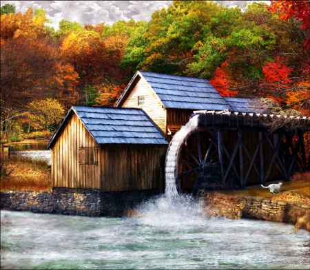 Autumn at the Old Mill - fall, trees, river, watermill, colors