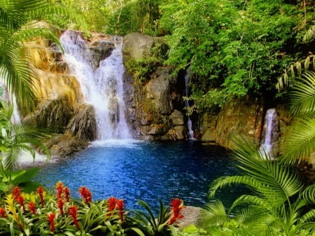 Lovely waterfall - flowers, waterfall, beautiful, plants, paradise, forest, lovely, rocks