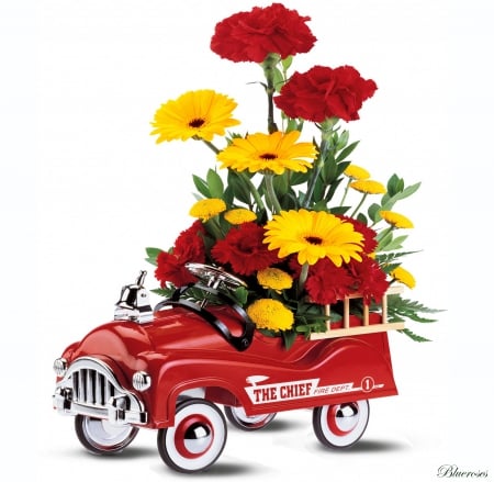 *Funny but beautiful* - toys, roses, fire, yellow, children, car, red, flowers, daisies