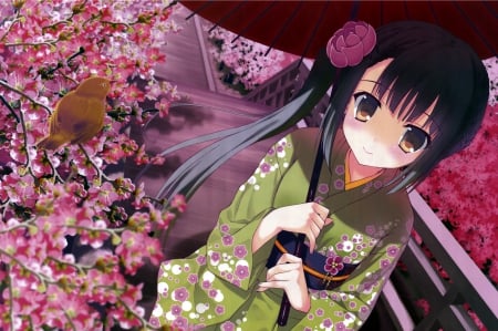 Kimono Chan - nice, female, japanese, anime girl, black hair, cherry blossom, pretty, japan, petals, anime, umbrealla, sakura blossom, kimono, cute, adorable, girl, long hair, cherry, lovely, bird, cg, hd, kawaii, flora, sakura, blossom, yukata, sweet, flower