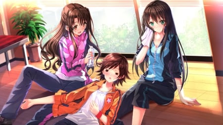 (￣△￣) - pretty, anime, tired, kawaii, female, long hair, group, faints, nice, anime girl, laying, bottle, beautiful, girl, beauty, lovely, brown hair, sweet, sweats, black hair, cute, adorable, lay