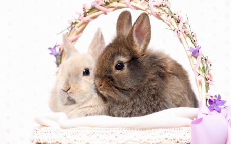 Happy Easter! - couple, easter, basket, bunny, white, rabbit, rodent, pink, animal, cute