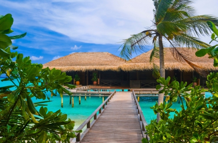 Seychelles Beach Cabin - pier, water, bridge, palm, sea