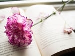 * I just really love books! And flowers!*