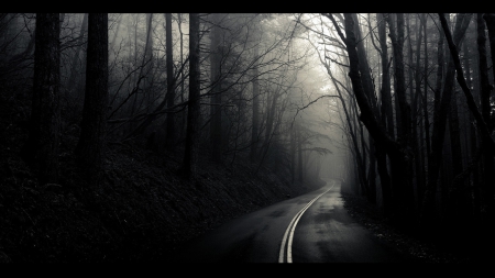 Mistique Road - dark, forest, path, road