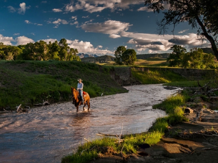 Jake's Heaven - horses, trees, cowboy, river, stream, ranch, water, outdoors