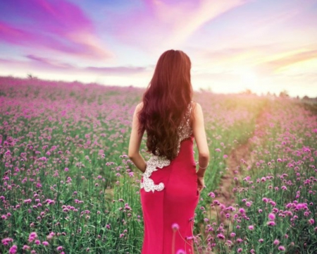 Flower Field Beauty - field, flower, sunset, woman